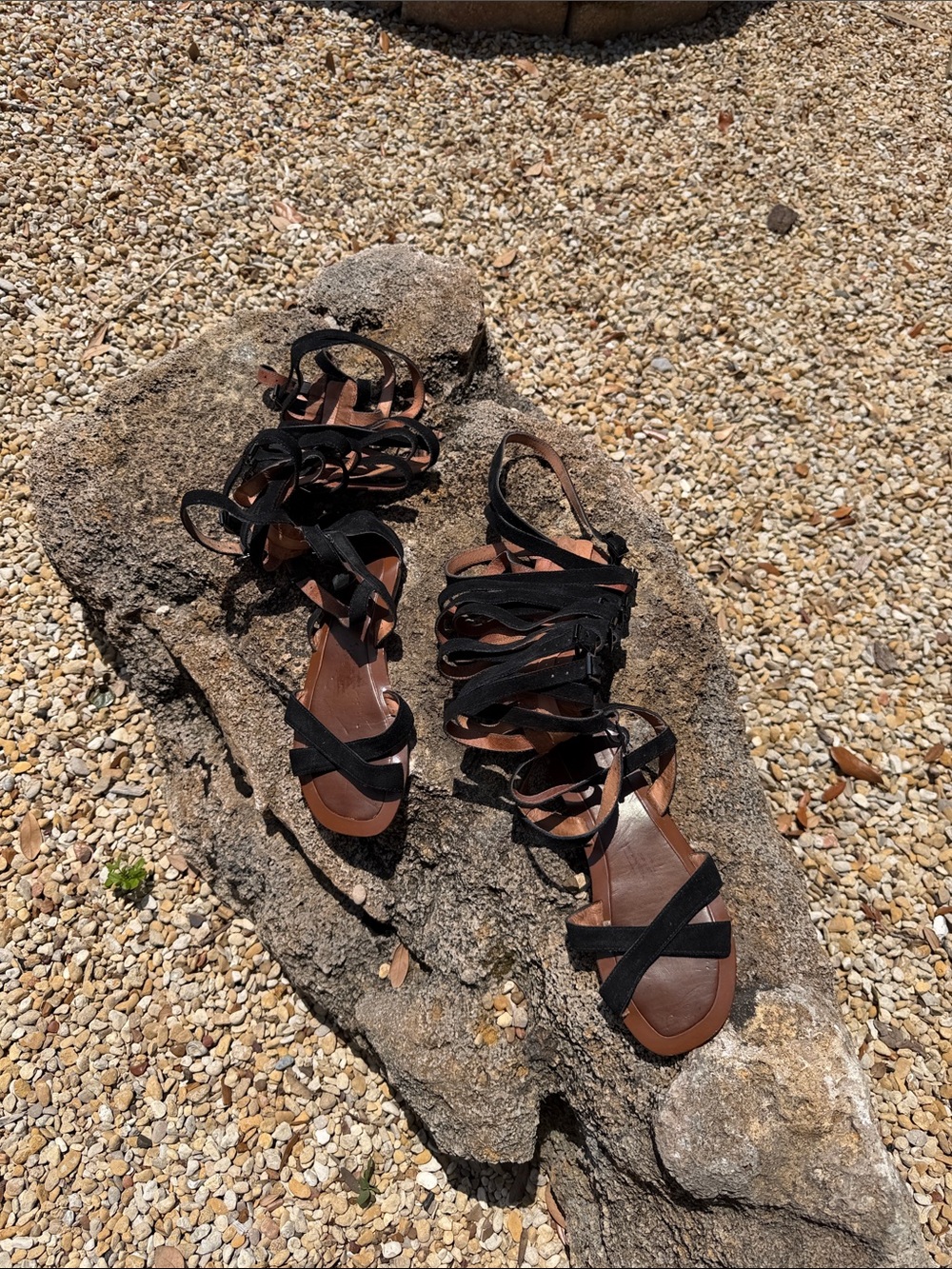 Free People Black Lace-Up Gladiator Sandals with Brown Footbed